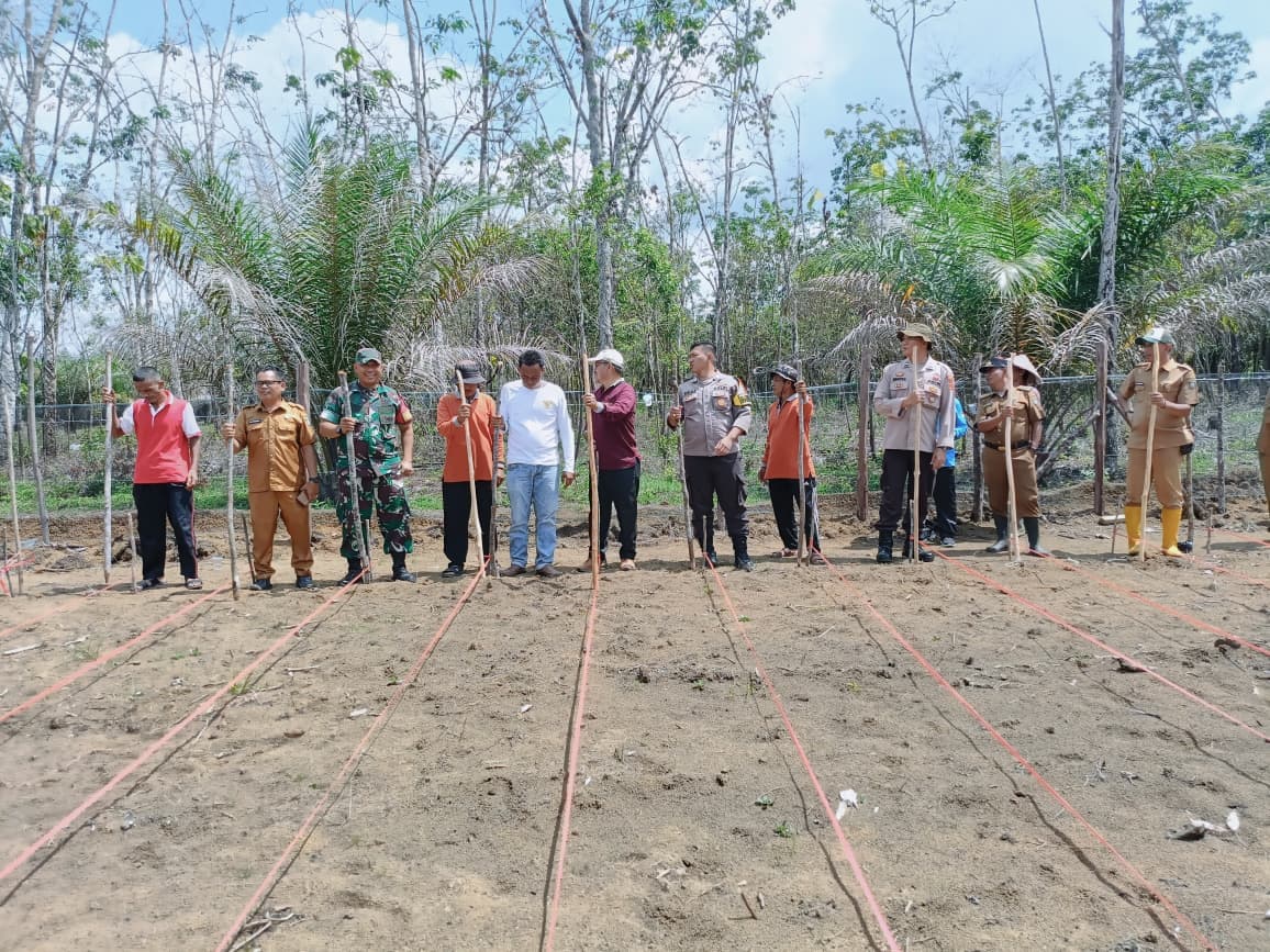 Penanaman Jagung di Dusun Lubuk Landai Dukung Ketahanan Pangan Nasional